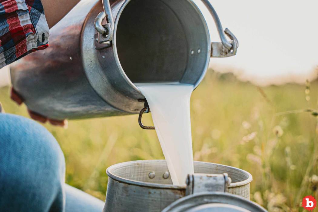 Raw Milk Demand Surges, Idiots Think It Gives Bird Flu Immunity