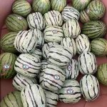 Over $5 Million of Crystal Meth As Watermelons Seized At Border