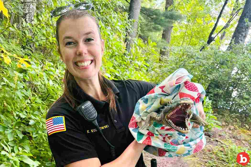 Massachusetts Animal Control Called for Alligator, Wrangle Toy