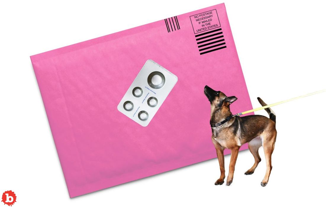 American Police Are Using Drug Sniffing Dogs to Find Abortion Pills in Mail