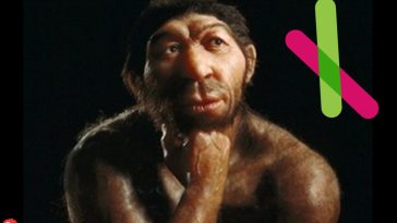 This Neanderthal Wants to Know: Will 23andMe Data Be Secure?