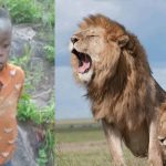 7-Year-Old Boy Survives 5 Days Alone in Dense Lion Habitat