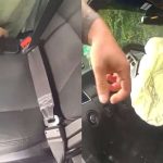 Car Stops For School Bus in Florida, Rear-Ended By Cop Watching Porn