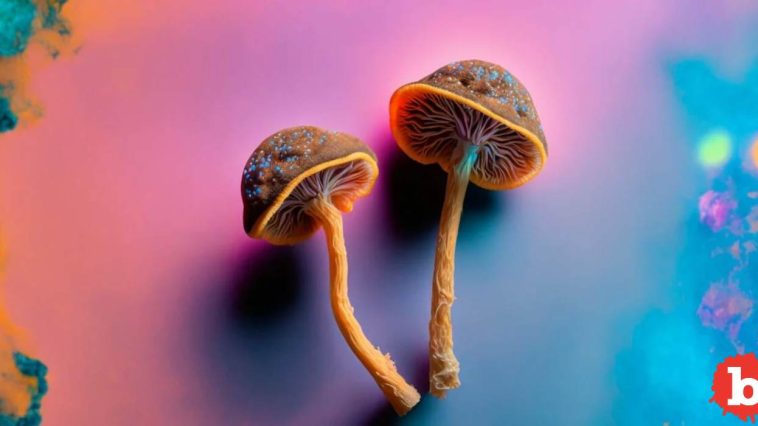 Psychedelics Literally Help People Get In Touch With Their Sexuality