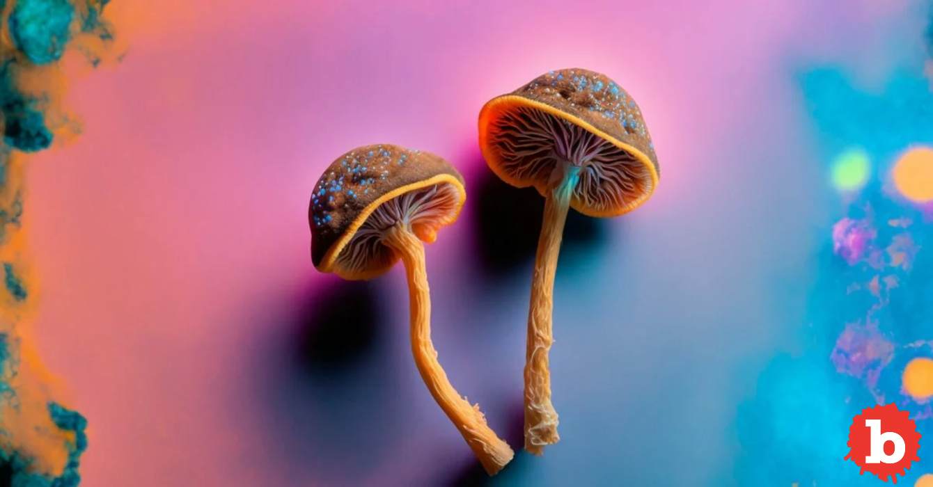 Psychedelics Literally Help People Get In Touch With Their Sexuality